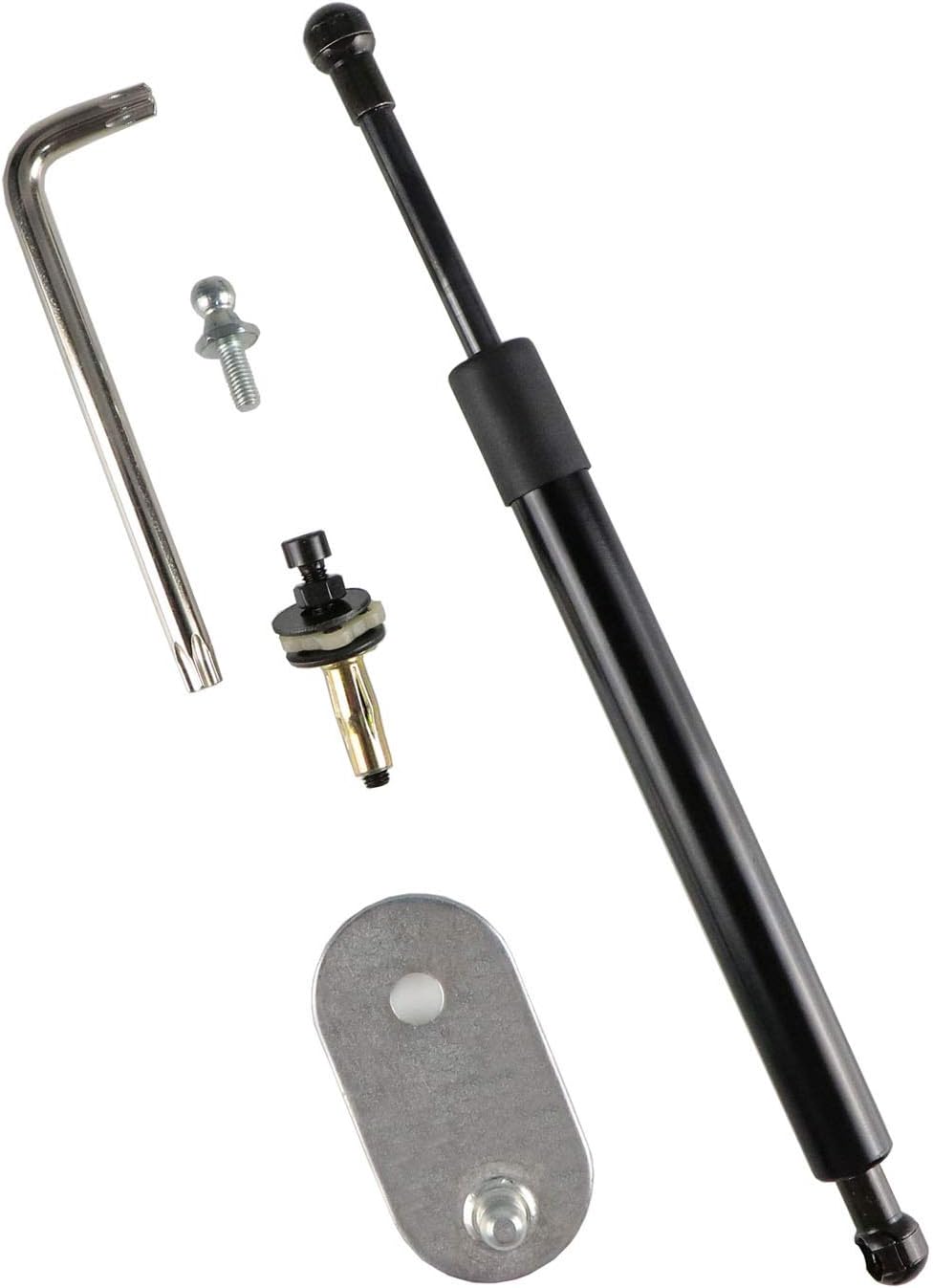 Body Truck Beds & Tailgates Truck Tailgate Assist Shock for 20042014