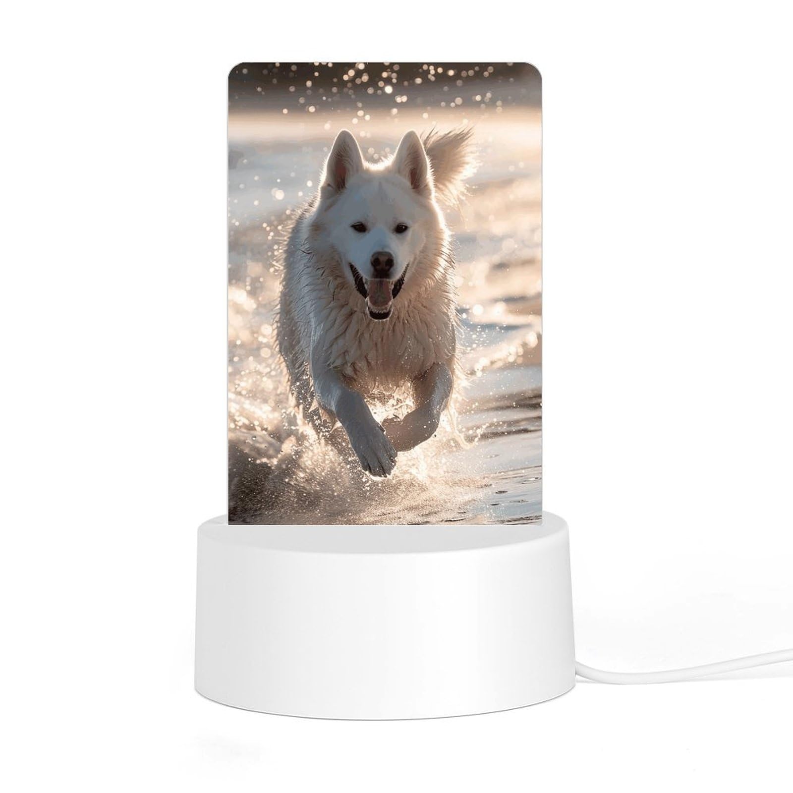 JTREHY - Acrylic Night Light with Base, Running on Beach, Printed Desk Night Light with LED Light for Bedroom, Bathroom, Hallway, Holiday Gift