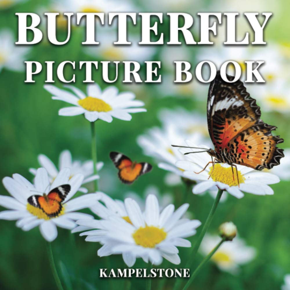 one hundred butterflies  写真集　100の蝶 Amazon | Butterfly Picture Book: 100 Images of Beautiful Colorful