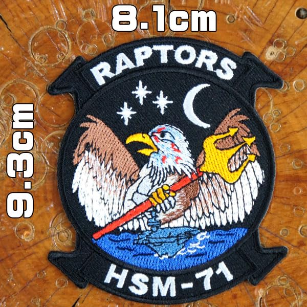 Amazon.co.jp: 刺繍ミリタリーワッペン パッチ アメリカ海軍 アメリカ