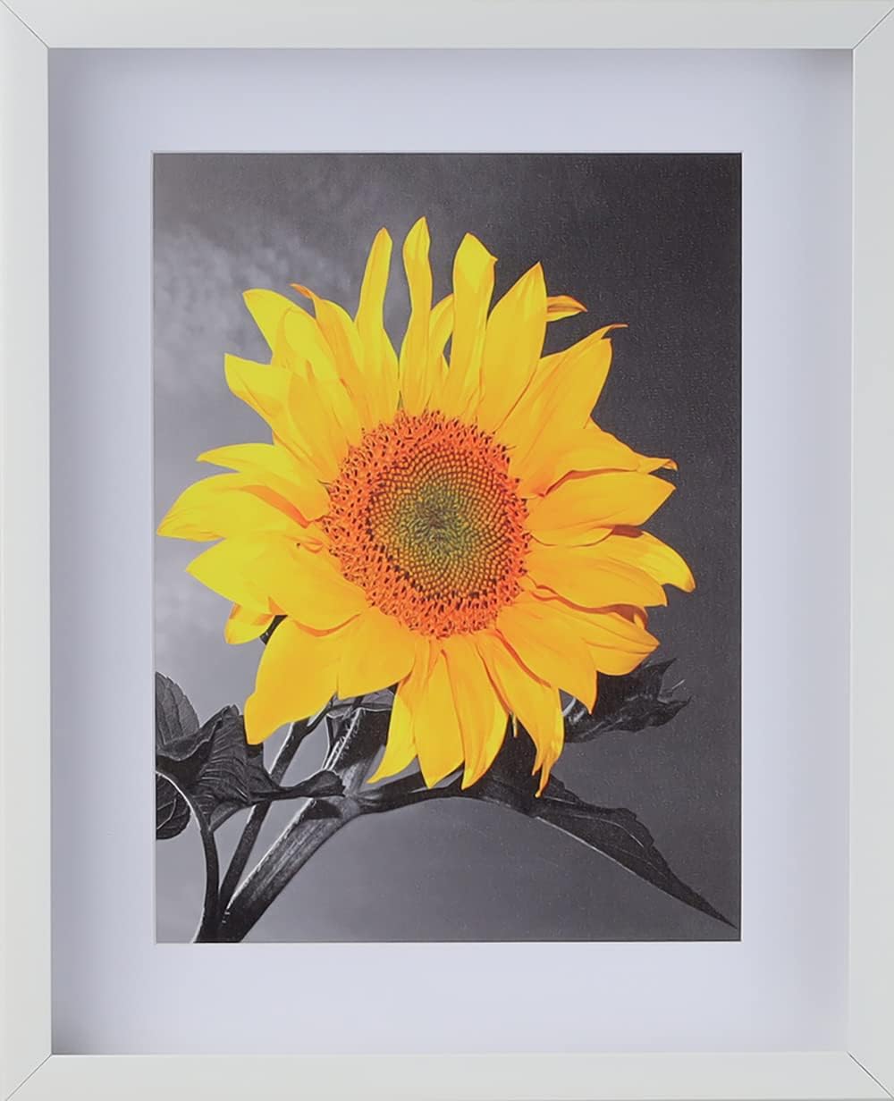 Picture Frame Set of 4. 2-3/16" Polystyrene Shadow Box White 7x7 Wholesaleartsframes-com 2880 Series Made in USA