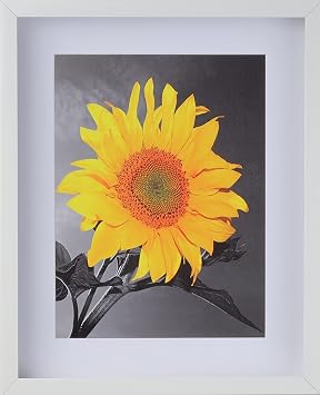 Picture Frame Set of 2. 2-3/16 Polystyrene Shadow Box White 7x9 Wholesaleartsframes-com 2880 Series Made in USA