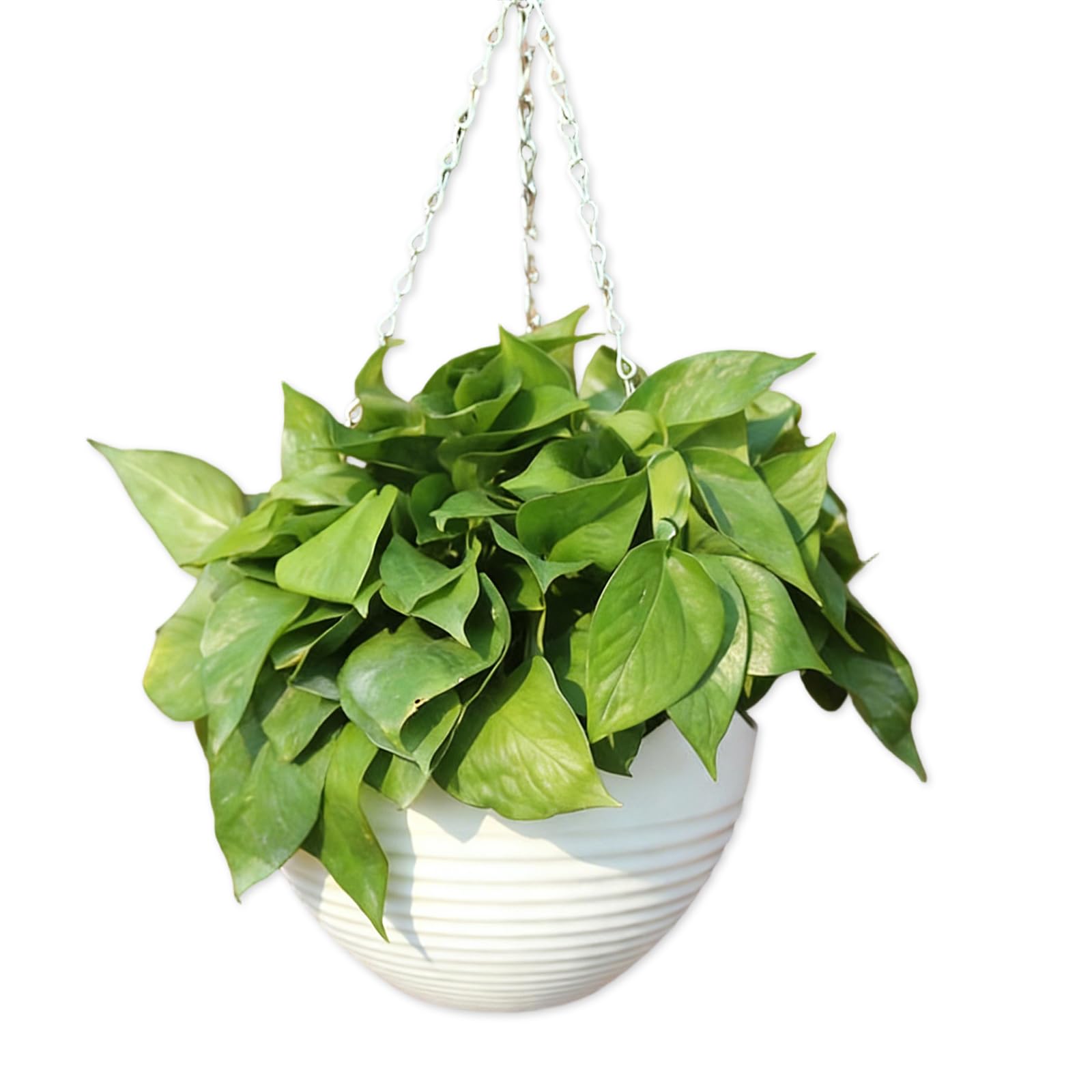 Hanging Plant Pot, Hanging Basket Brackets Outdoor, Ceiling Hooks, Hanger Basket, Balcony for Railing, Strawberry Planter, for Indoors & Outdoor