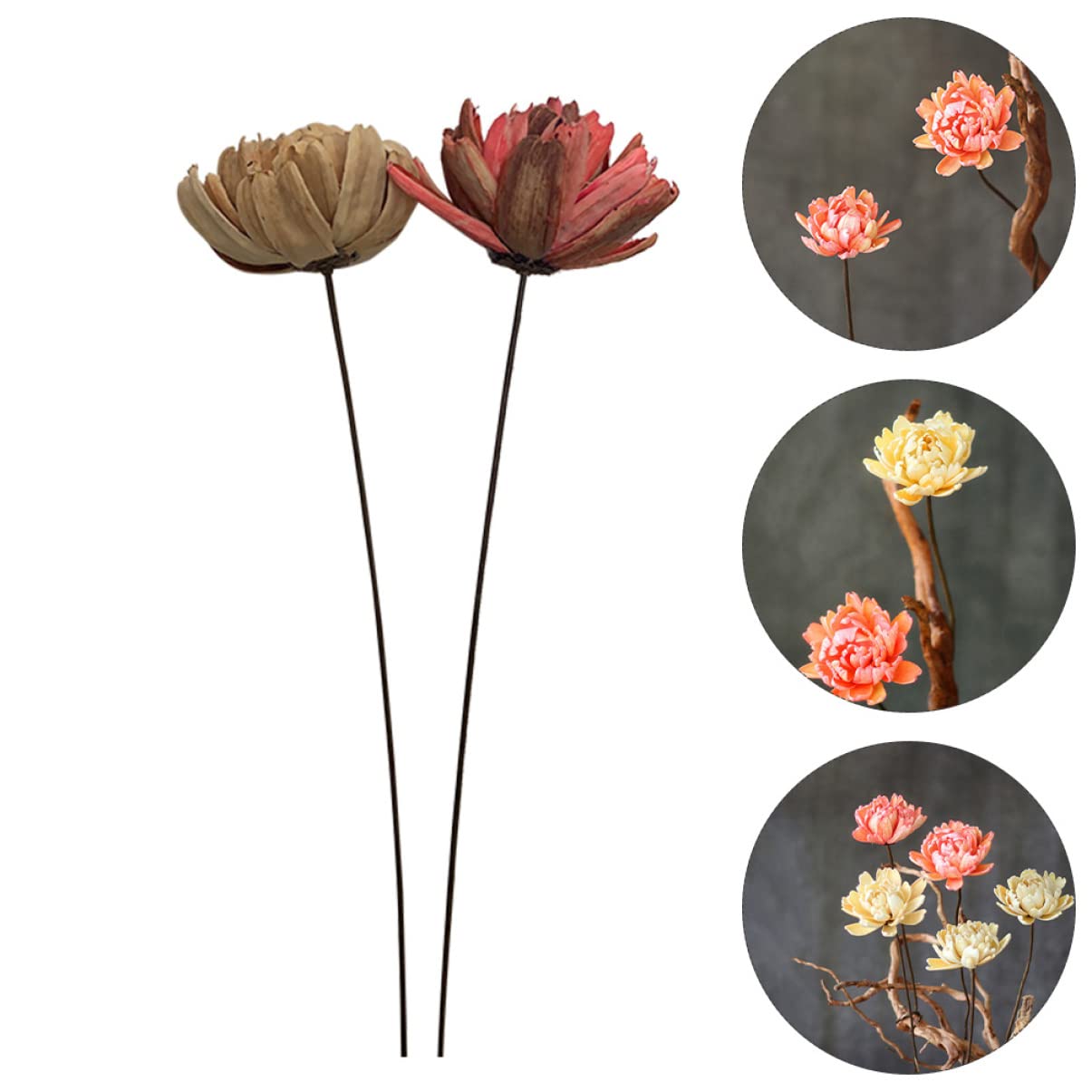 Alipis 6pièces Bouquet Décoratif Naturel Séché De Fleurs Préservées pour Décoration Intérieure Artisanat Ambiance Naturelle pour Maison Et Événements