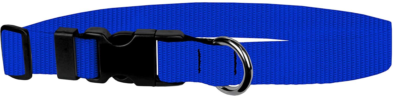 Dog Collar - Colored Adjustable Pet Collars, 3/4 Inch Wide, Small, Royal Blue