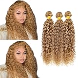 Color #27 Human Hair Bundles Blonde Kinky Curly Bundles Brazilian Unprocessed Remy Hair 3 Bundles 14 14 14 Inch Color #27 Curly Bundles Hair Weave Blonde Bundles