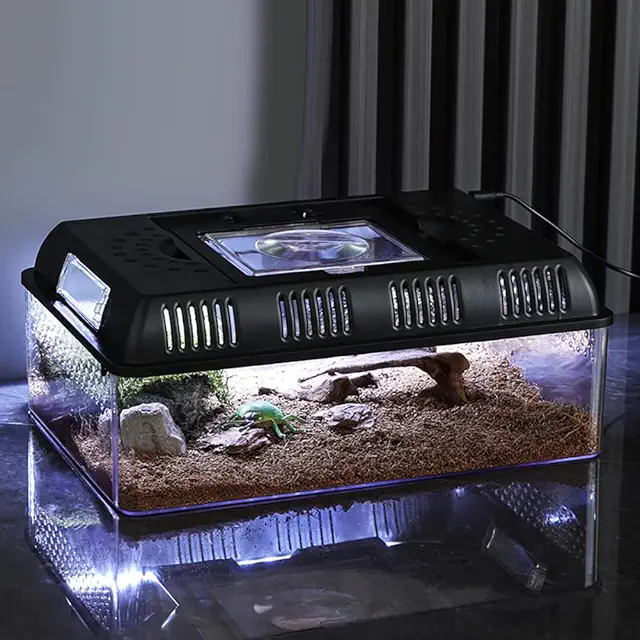 Terrarium plat portable pour reptiles avec éclairage intégré - Moyen plat