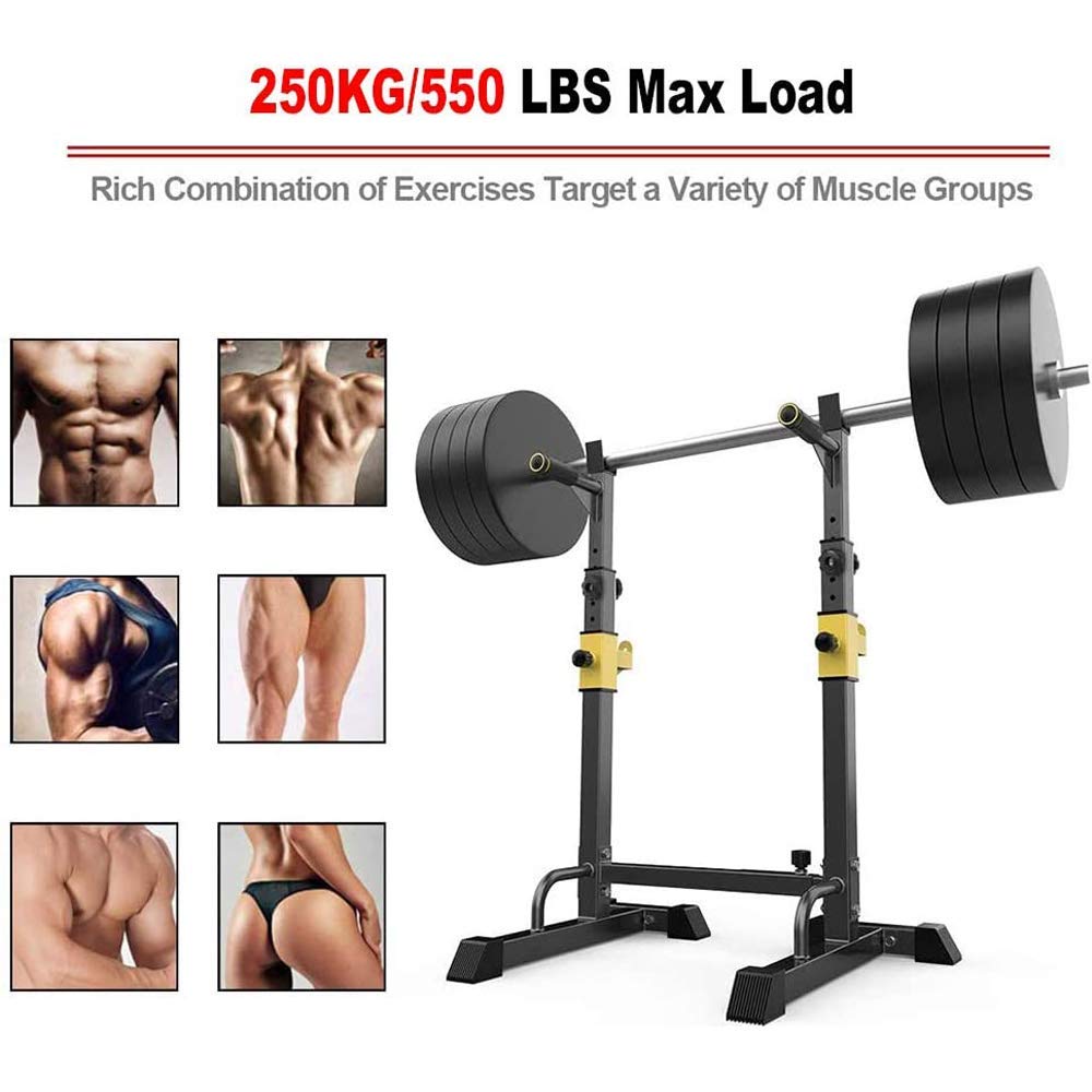 ERoomQ Bench Press Dip Station Squat Rack Adjustable Barbell Rack Bench Press Stand Home Gym Weight Lifting Bench Press Equipment 250kg Max Load
