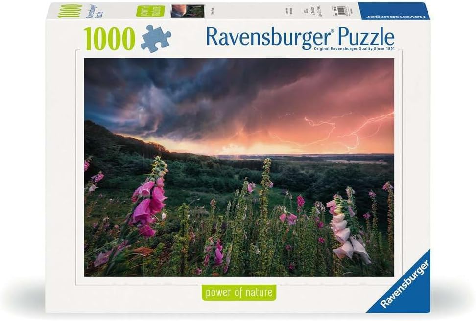 Ravensburger Puzzle 12000793 - Ein Sturm zieht auf - 1000 Teile Puzzle für Erwachsene from 14 Years