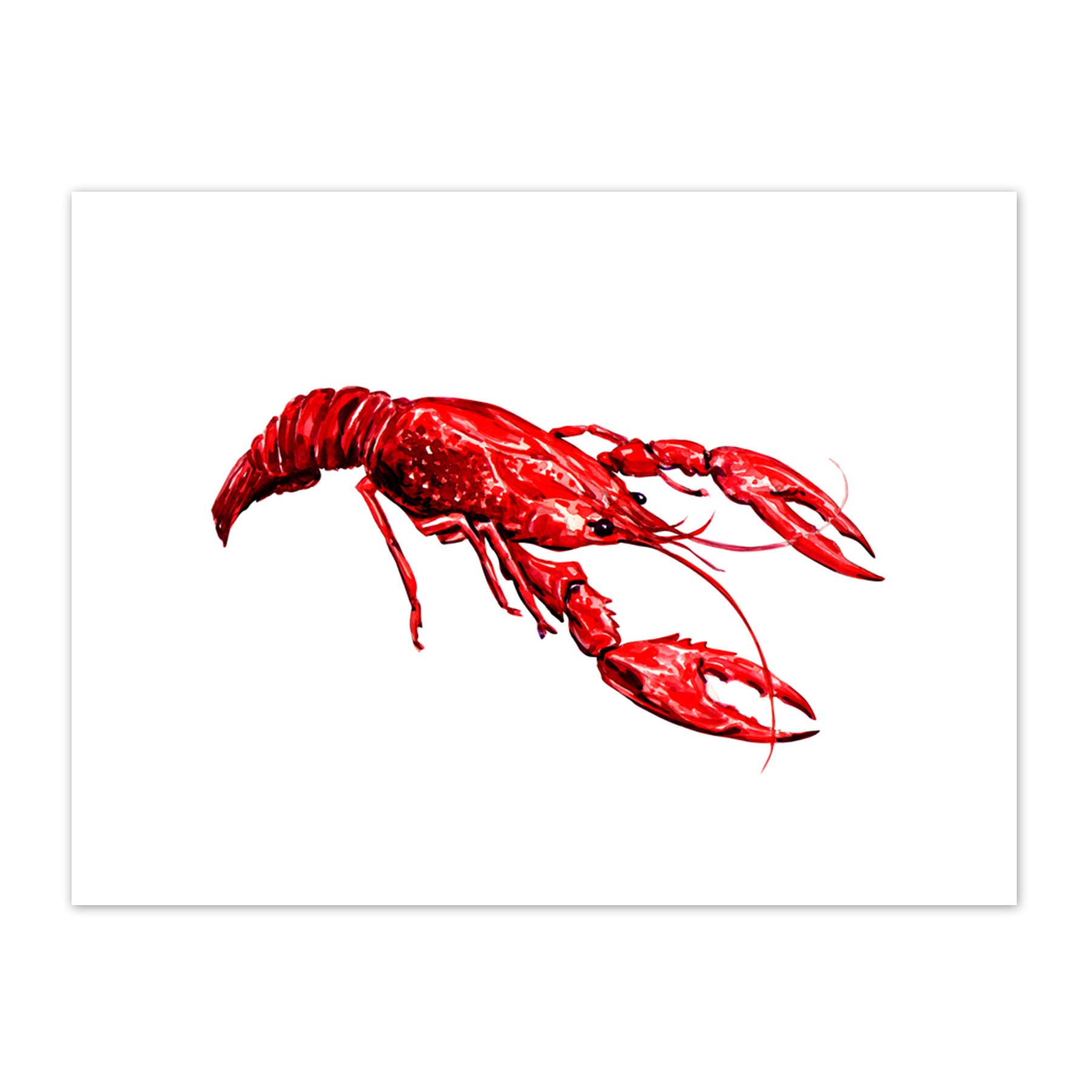 Wee Blue Coo Lobster Illustration Art Print Canvas Premium Wall Decor Poster