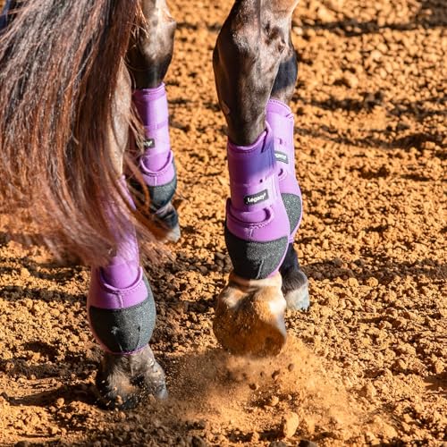 Image of Classic Equine Legacy2 Support Boots, Hind
