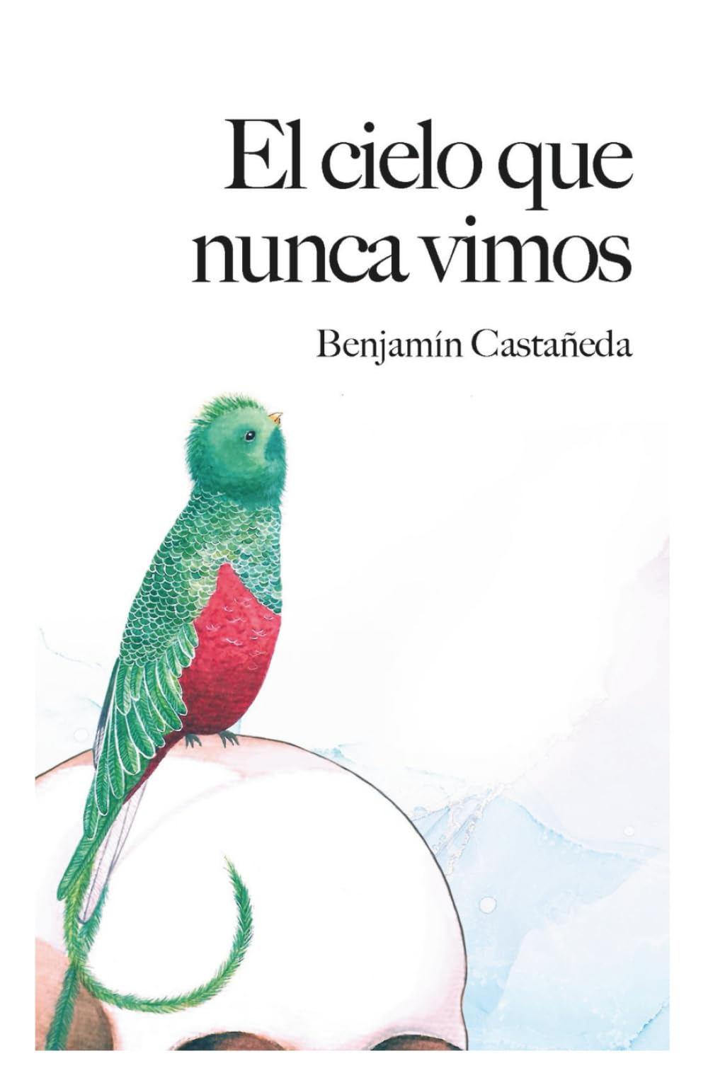 El cielo que nunca vimos