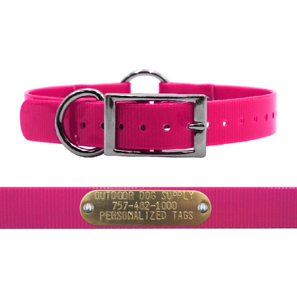 

Personalized Dog Collar Strap with Solid Brass Name Plate (21 Long, Pink)