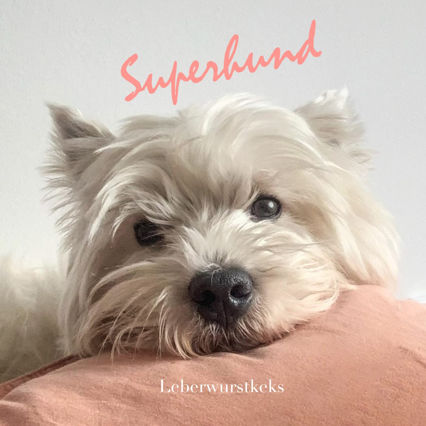 Superhund