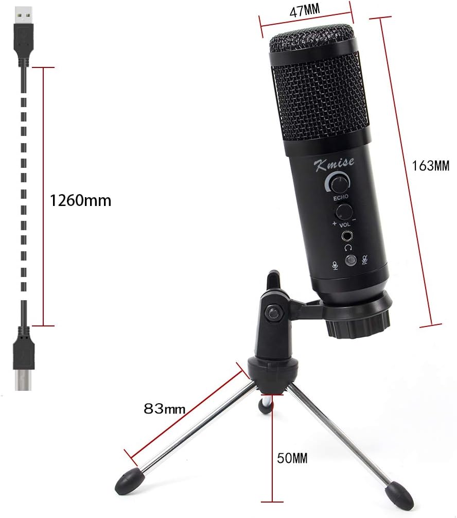 Diagram of microphone controls: Echo, Volume, Mute, and Headphone Monitoring.