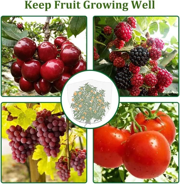 Miniatura 5 de Agfabric Bird Netting - Red de jardín de 30 pulgadas de alto x 60 W, barrera de plagas de insectos, cubierta de plantas para árboles frutales, bolsa