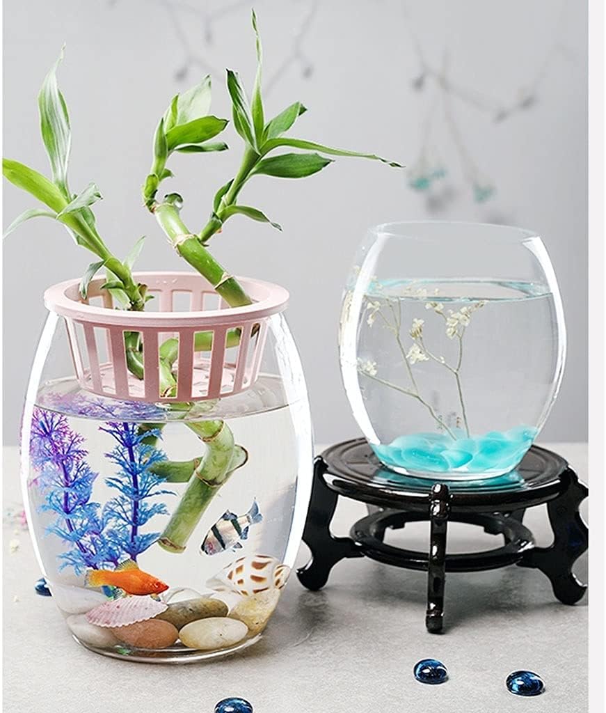 Fish Tank Glass Landscaping Water Tank Vase Bottle Big Turtle Fish Tank Fish Farming Creative Aquarium Ecological Round Goldfish Tank Glass Fish Tank(7.87IN)