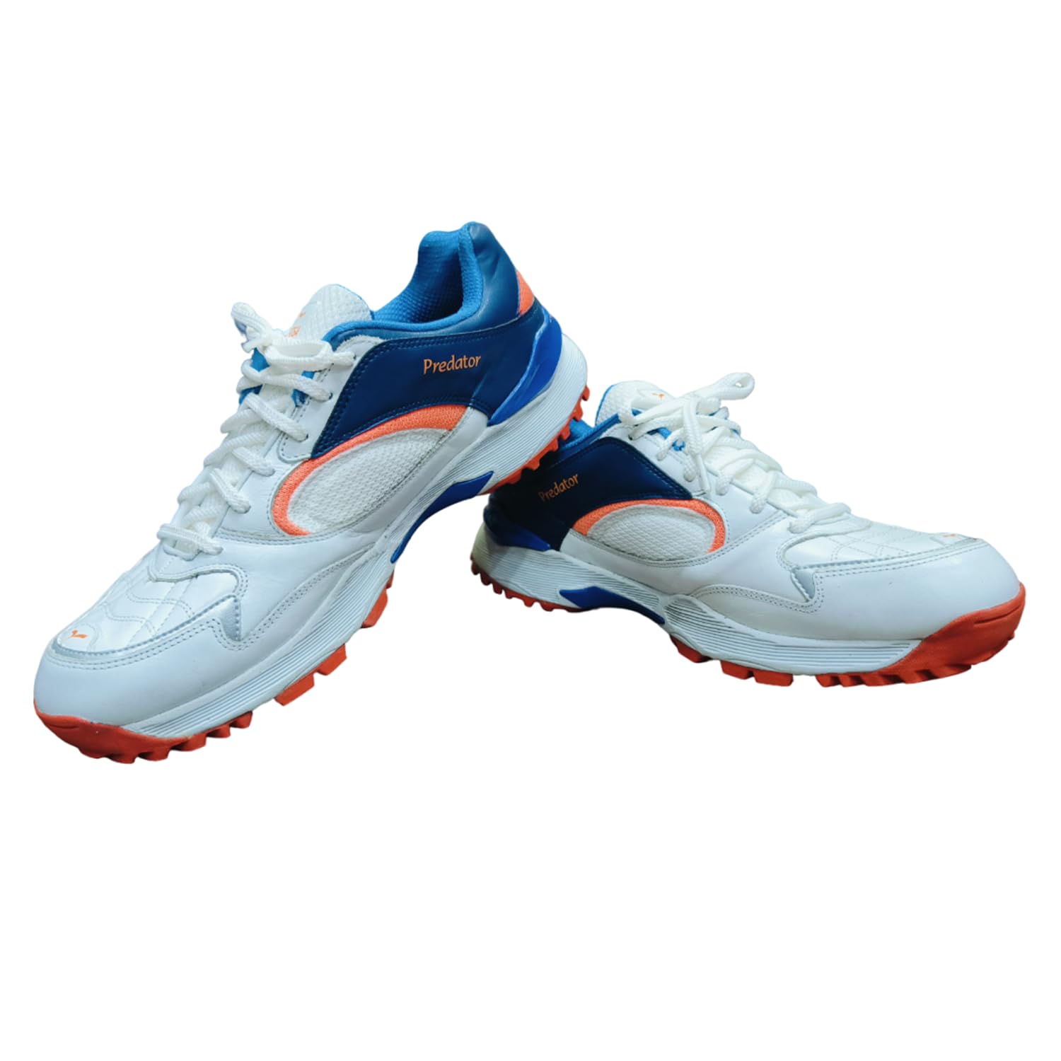 Sega New Predator Rubber Spikes Cricket Shoes for Men (White/Blue, 9) (B0D11Y6XL3) Amazon Price History, Amazon Price Tracker