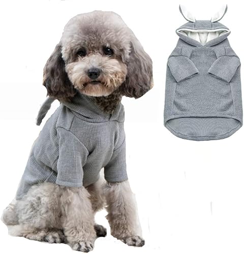 ANIAC Divertidas sudaderas con capucha para perro pequeño, hembra, niño, orejas de conejo, sudadera con capucha para cachorro, ropa de gato, disfraz