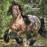 Horse Feathers 2017 Wall Calendar