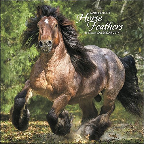 Horse Feathers 2017 Calendar