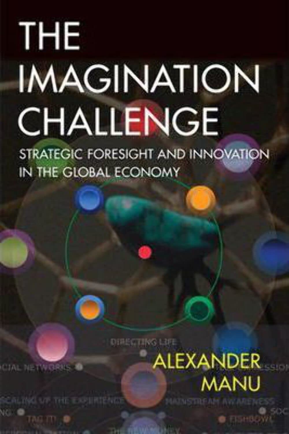 Buy The Imagination Challenge: Strategic Foresight and Innovation in the Global Economy — BookShops.in