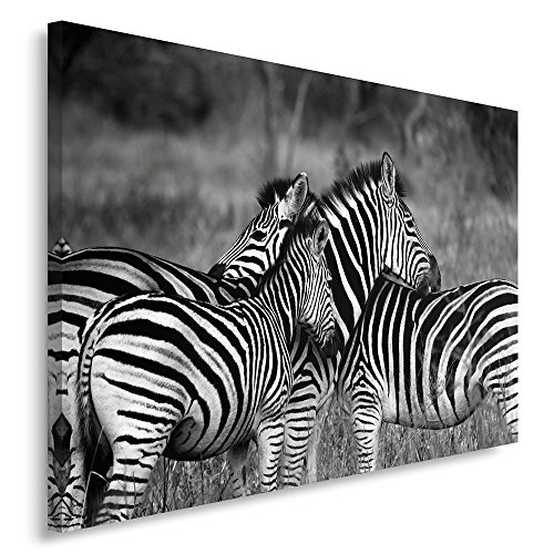 Feeby. Cuadro en lienzo - 1 Parte - 60x80 cm, Imagen impresión Pintura decoración Cuadros de una pieza, NATURALEZA, CEBRAS, BLANCO Y NEGRO