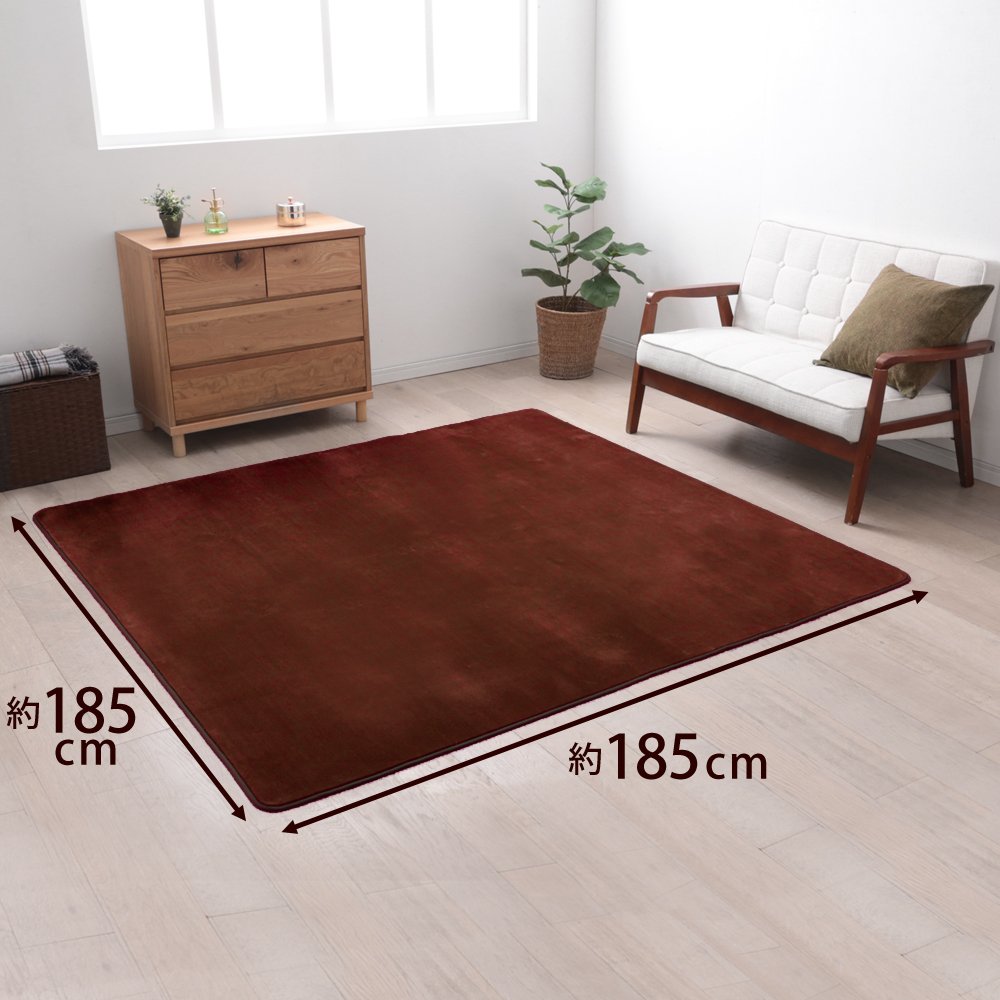 Amazon｜アイリスプラザ カーペット ラグ 洗える ラグカーペット