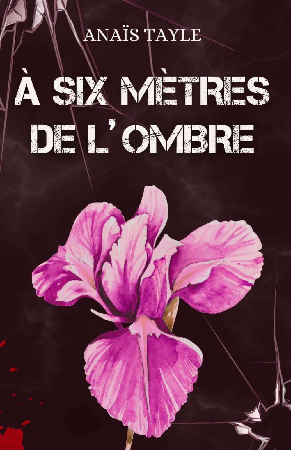À six mètres de l'Ombre: Romance sombre – La passion au cœur d’une traque mortelle.