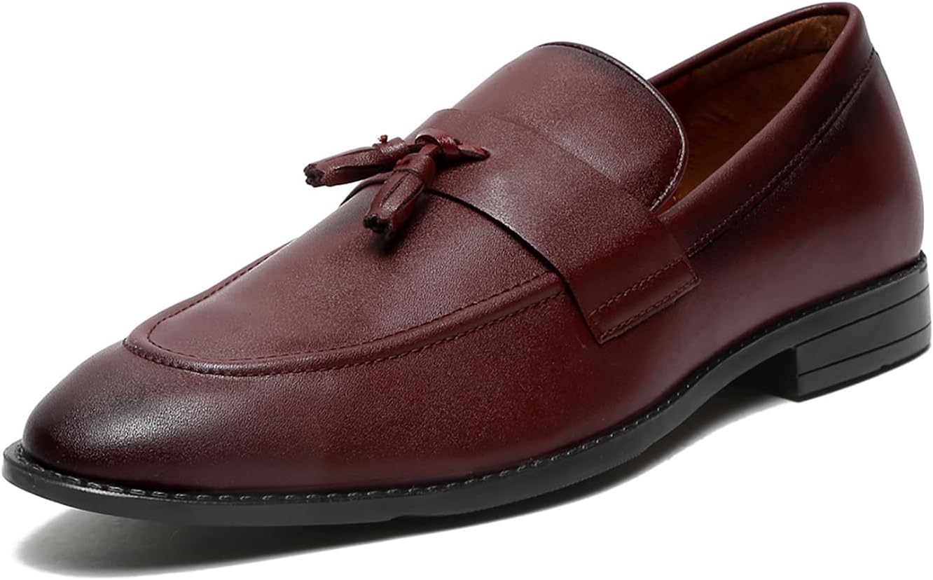 Men's Shoes Tassel Style Comfortable Moccasins for Men (RGMCPLTA)