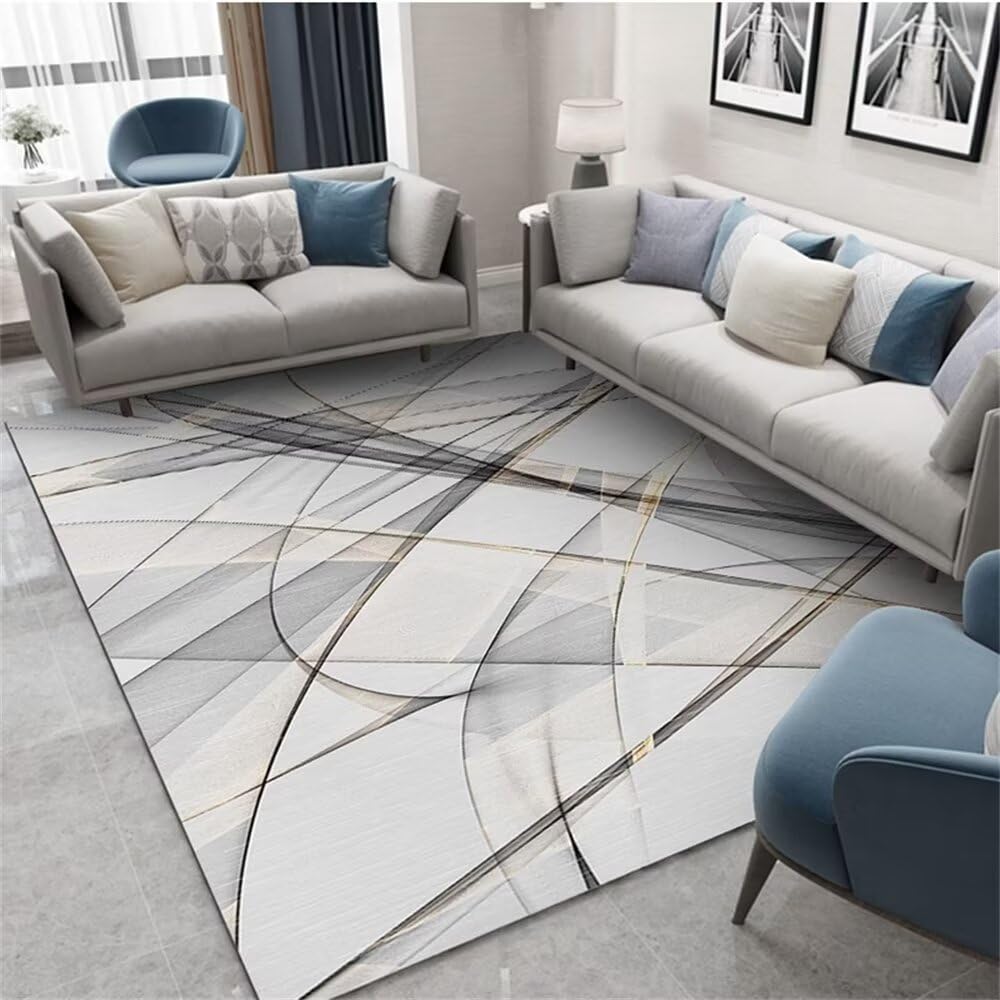 Tapis salon gris clair lavable et anti décoloration