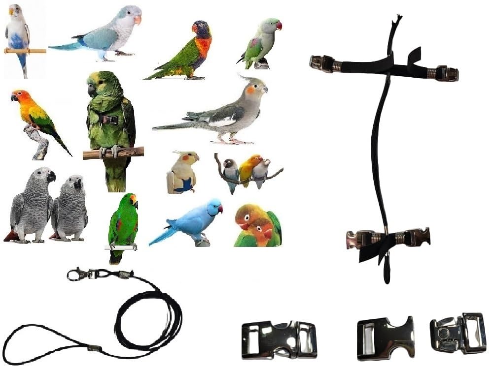 BLUSUPERSHOP Black Parrot Harness, Adjustable Size, Elastic & Tape, Steel Attachments, 1m Leash, Video Tutorials