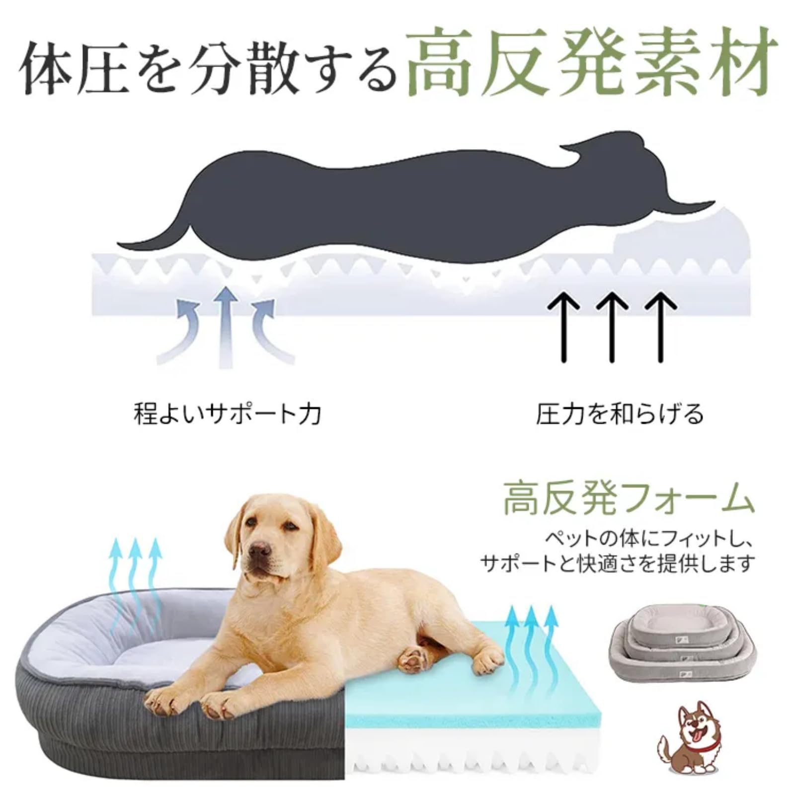 Amazon | GIIPET ペットベッド 犬ベッド 猫ベッド 通年タイプ