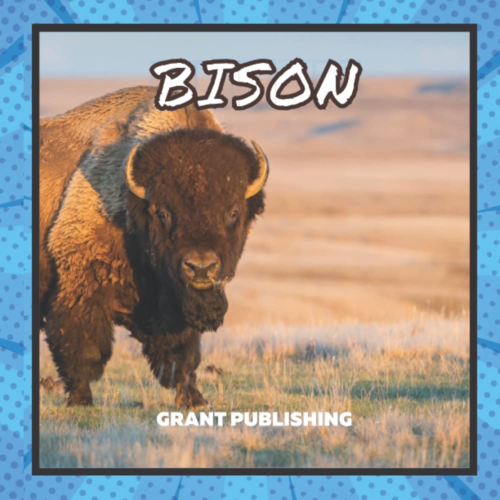 Bison: Wildlife Book for Kids (Wildlife book for young children)