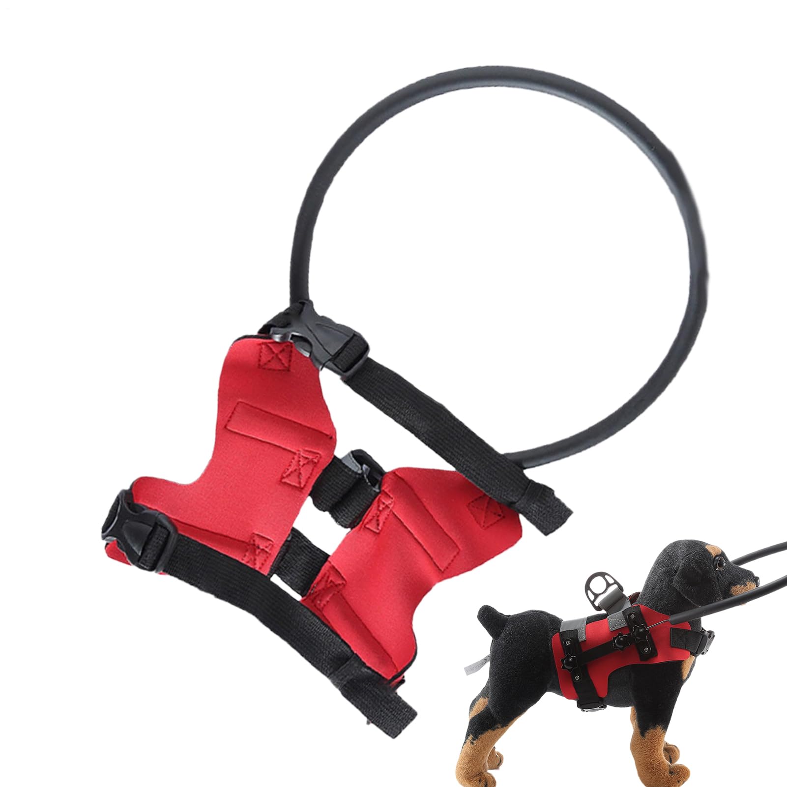 Pare-chocs pour chiens aveugles : redonnez-lui confiance pour explorer la maison