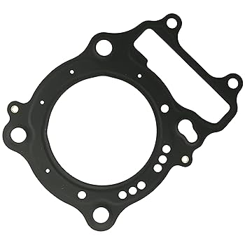 Amazon.com: Caltric Cylinder Head Gasket Compatible with