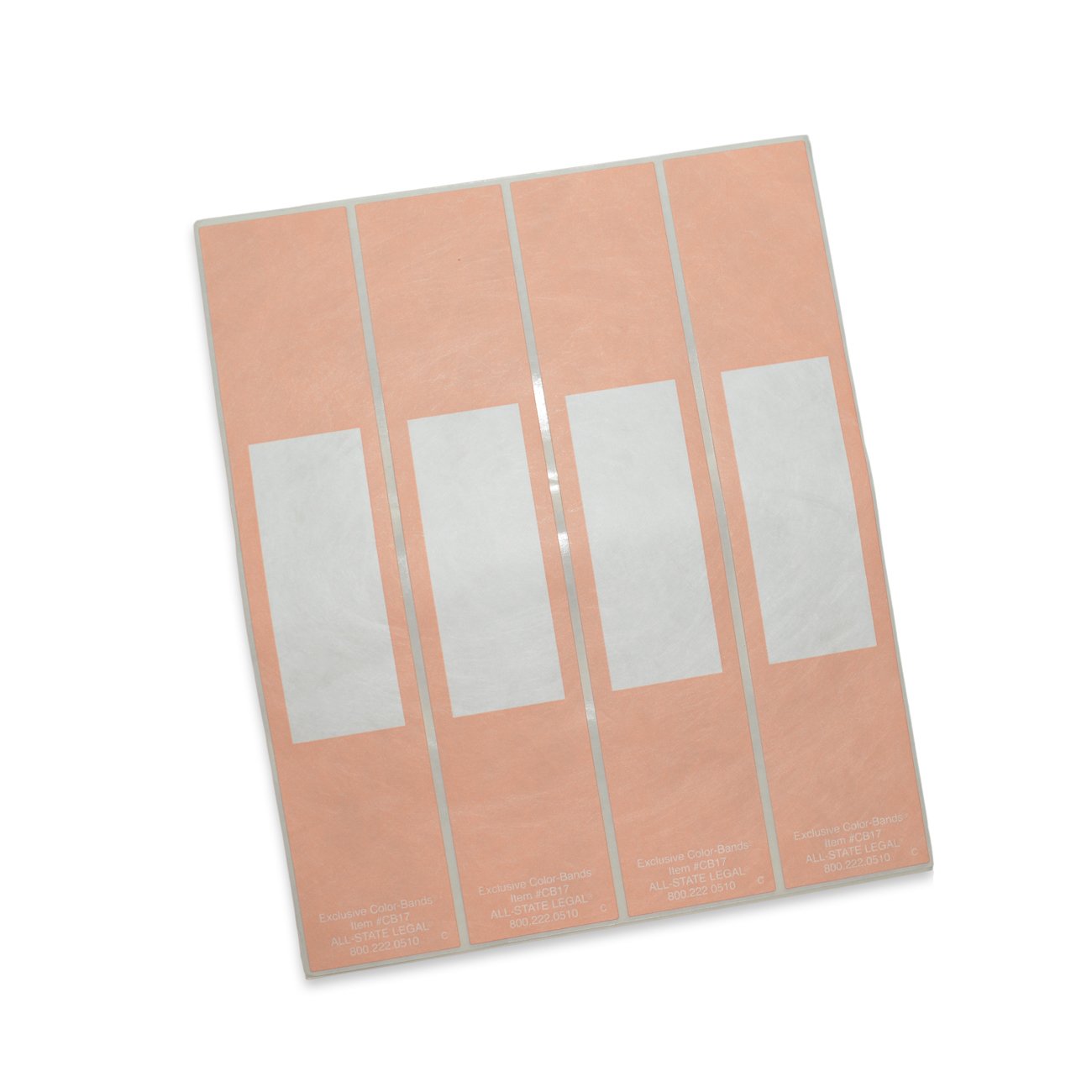 Color-Bands Color Coding File Handles and Labels for Expandable File Pockets and Wallets, Peach, 100 per Package