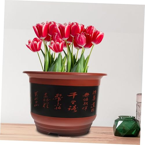 Miniatura 9 de CIYODO Macetas de interior para suculentas, macetas para exteriores, platillos para plantas al aire libre, macetas para plantas, orquídeas, macetas