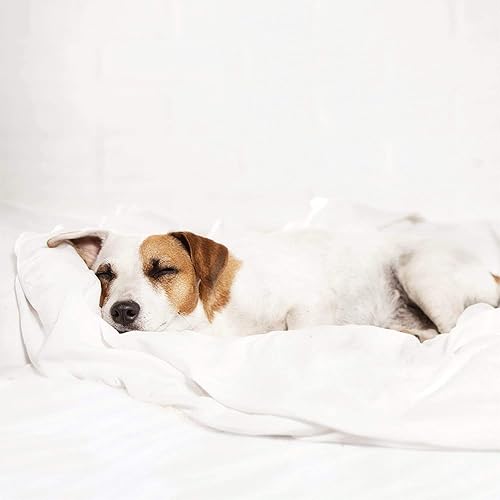 Miniatura 6 de ienjoy Home Hotel Collection 1500 Series  Ligero  Edredón alternativo de plumón de ganso de lujo  Edredón de calidad de hotel e hipoalergénico,