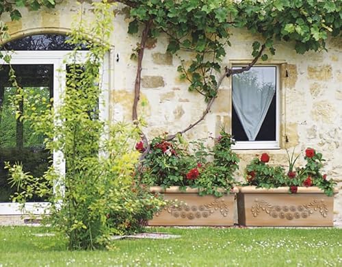 Kloris Pflanzgefäß rechteckig Festonato 80 Harz Farbe Terrakotta Polyethylen klassisches Design für den Außenbereich 45 Liter 80 x 40 cm Höhe 34 cm Made in Italy