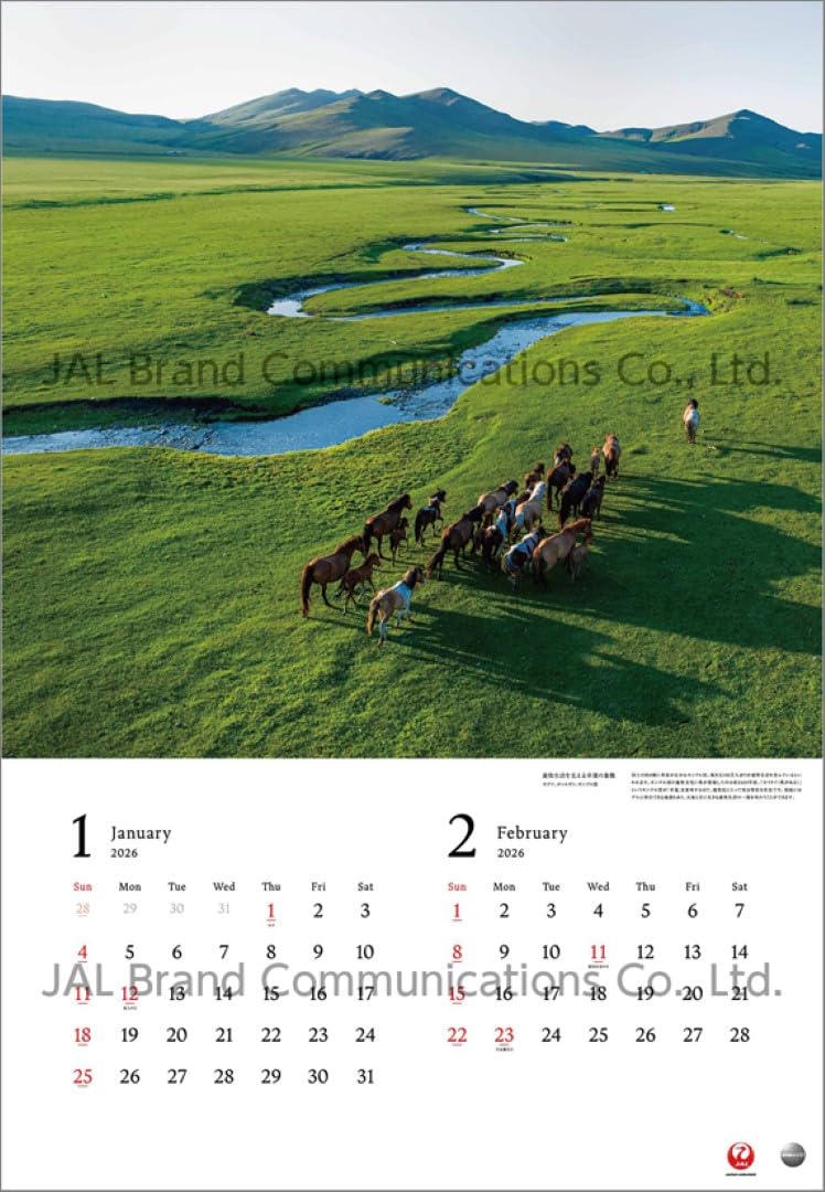 Amazon | JAL「A WORLD OF BEAUTY」（大型判） 2026年 カレンダー