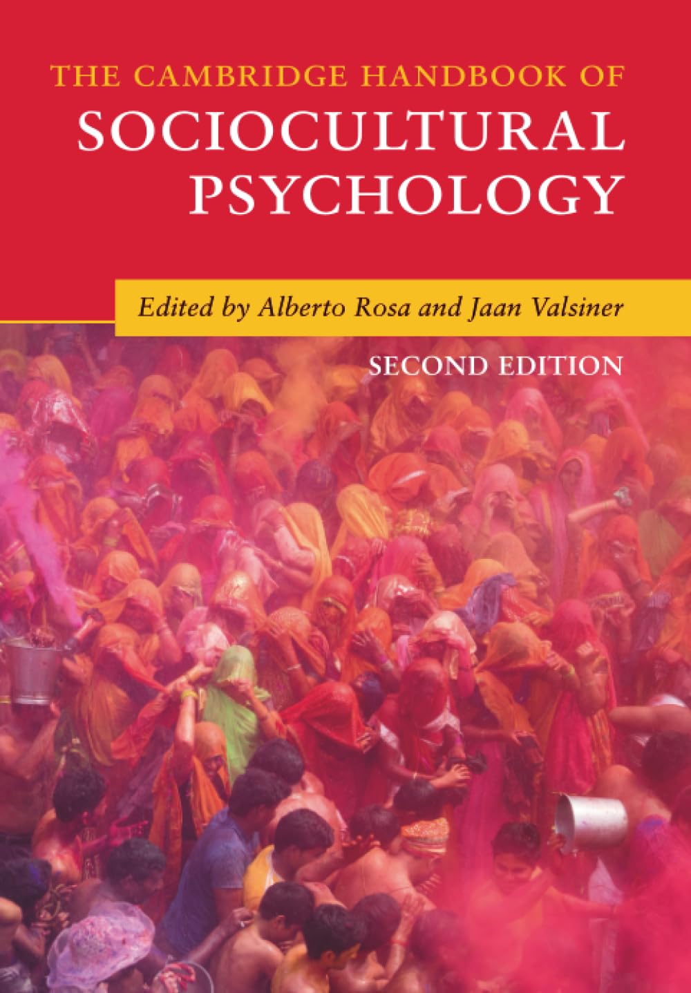 The Cambridge Handbook of Sociocultural Psychology (Cambridge Handbooks in Psychology)