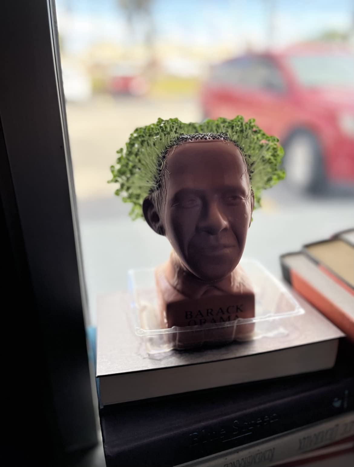 Male pattern baldness