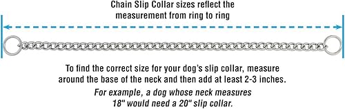 Miniatura 5 de Terrain DOG Collar de cadena deslizante cromado
