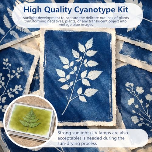 1DFAUL Cyanotypie-Lösungsset, 16.9oz flüssige Cyanotypie vorgemischt, kein Wasser erforderlich, Sonnendruck, Erstellung von Vintage-Blau-Kunst, fotografischen Blaupausen, für DIY-Kunstprojekte