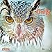 Produktbild Magic Owls 2019: Kalender 2019 (Wonderful World)