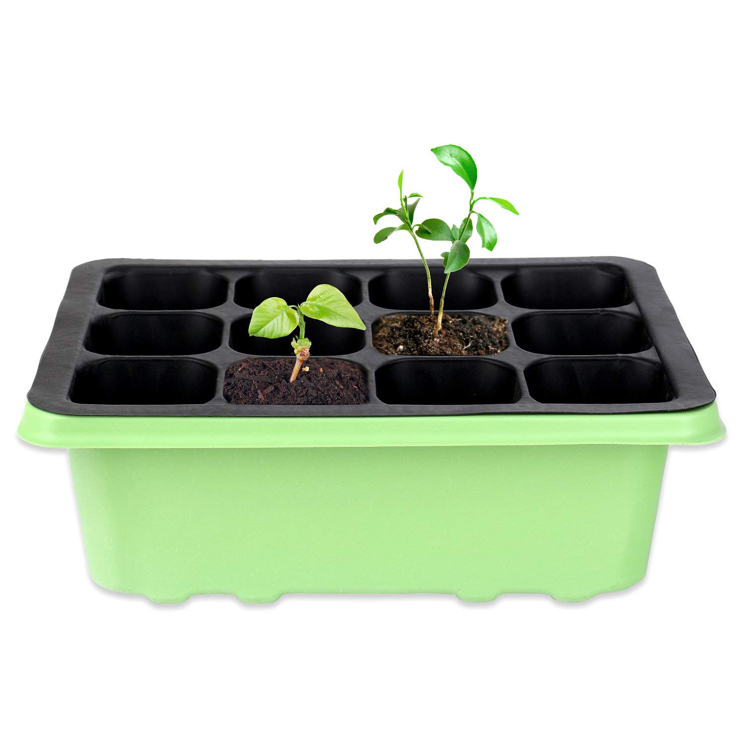 Schramm® Zimmergewächshaus ca. 19x15x7cm Anzuchtkasten 1, 2 oder 4 Stück Mini Gewächshaus Anzuchtset Anzuchtschale mit Deckel und Belüftung, Größe:1 Stück