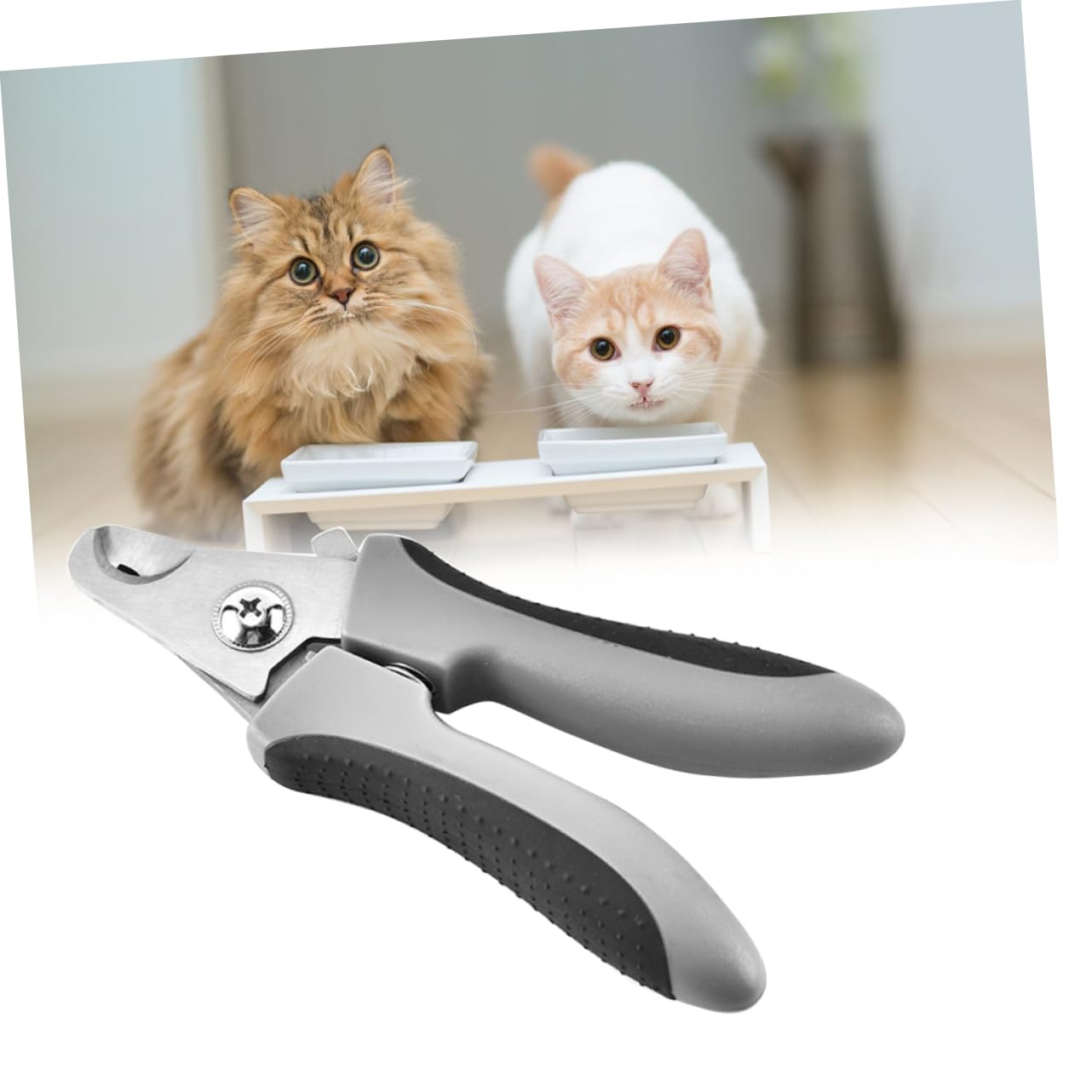 Sosoport 2pezzi per Unghie per Domestici Cesoie per Inossidabile Design Colore Casuale per Toelettatura e