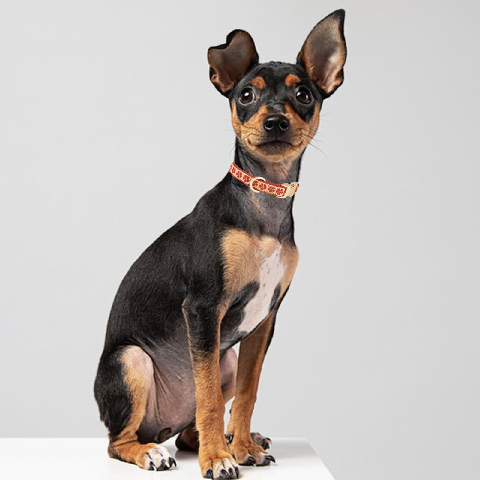 YUDOTE Collare per cani in morbido velluto a coste con nastro jacquard, di alta qualità, motivo floreale, per cani di piccola taglia, per uso quotidiano, rosso
