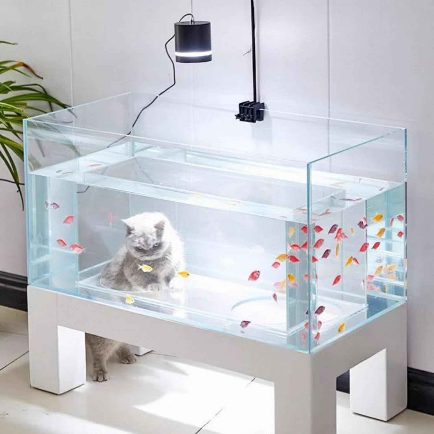 水槽セット GEX グラスアクア PERCO C-チャコール ブラック『送料無料 水槽セット GEX グラスアクア PERCO C-チャコール ブラック『送料無料